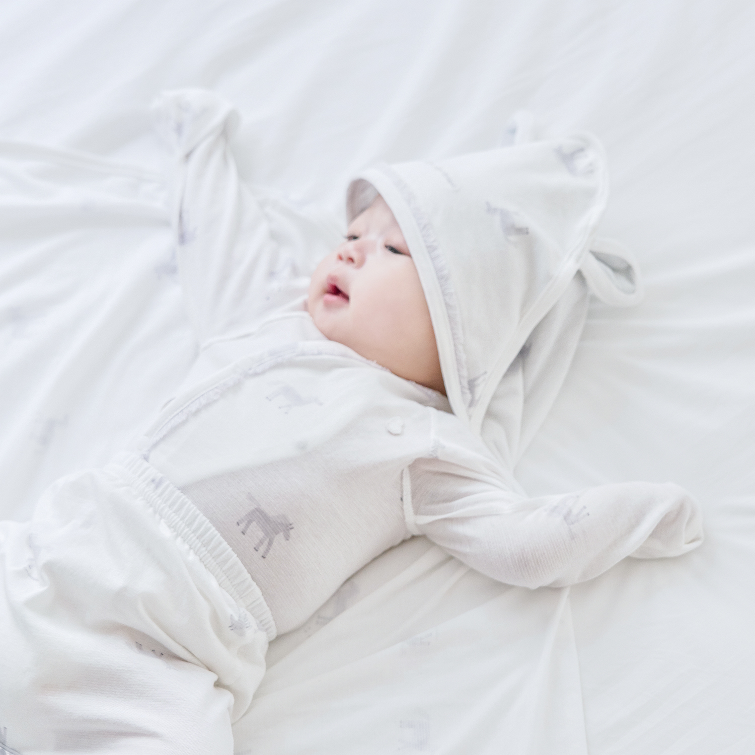 부드러운 말랑이 GIFT 세트 5종 + 증정: 말랑이 고리인형 1개